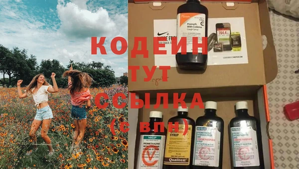 прущий лед Гусев