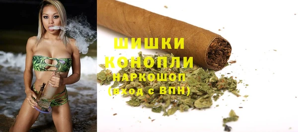 трава Гусиноозёрск