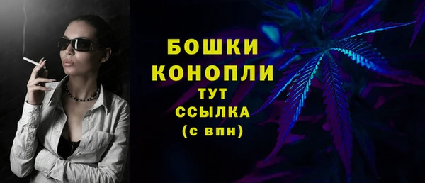 трава Гусиноозёрск