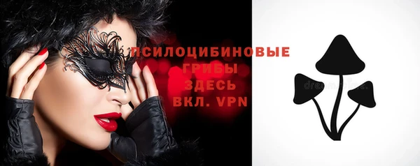 прущий лед Гусев