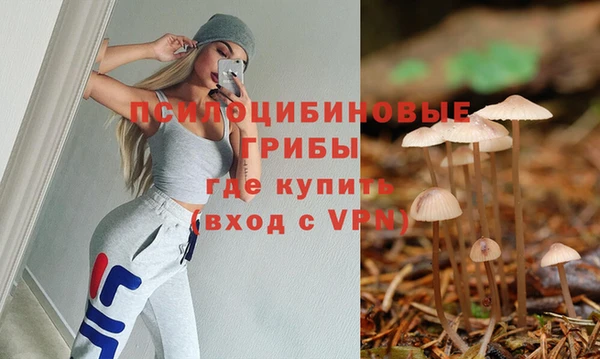 прущий лед Гусев