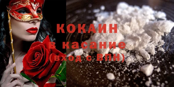 трава Гусиноозёрск