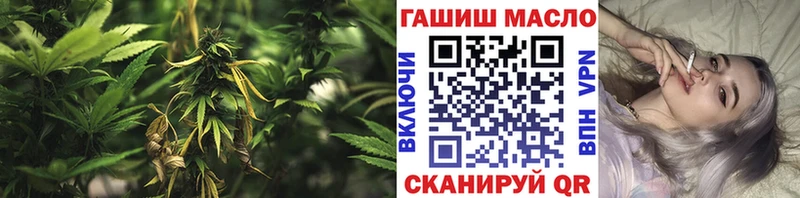 Дистиллят ТГК вейп с тгк  Купить где  Кедровый 